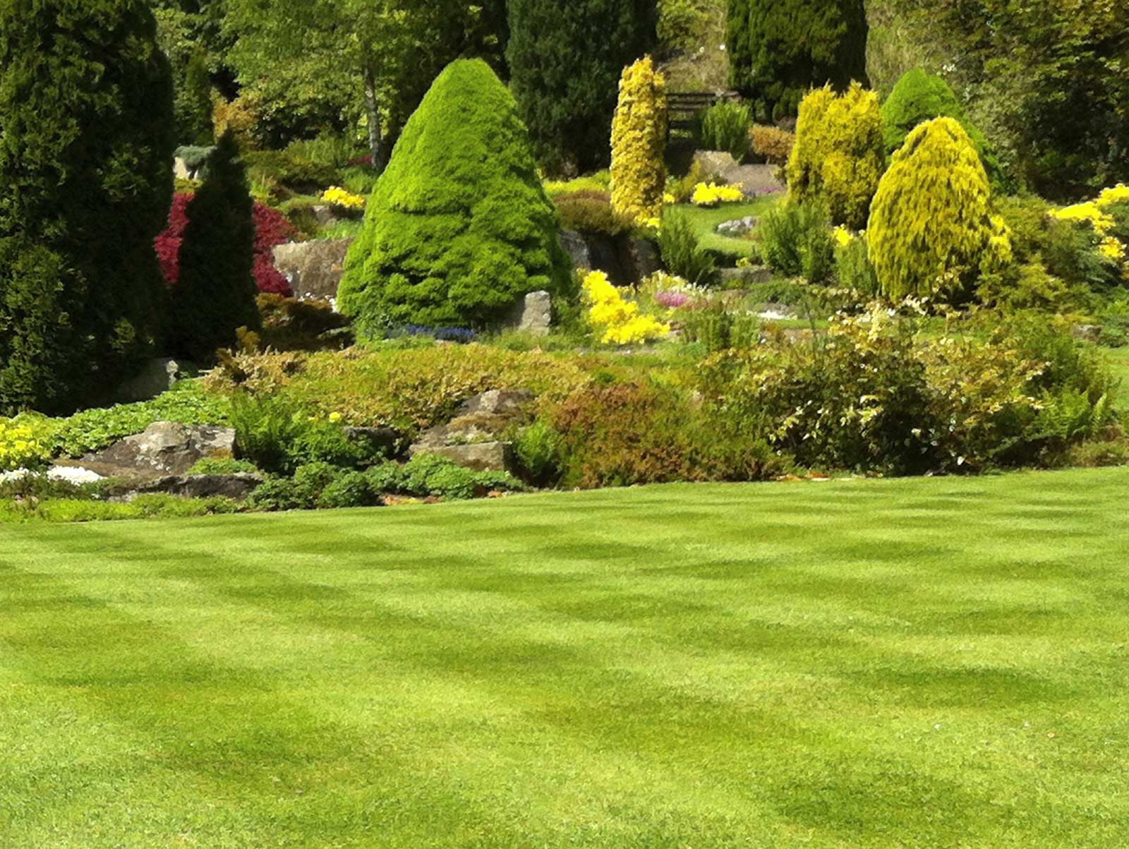 Country Lawn Care Inc Landscaping and Mowing Services