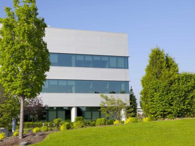 Clean corporate grounds